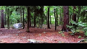 Dramatize expunge Reclusion