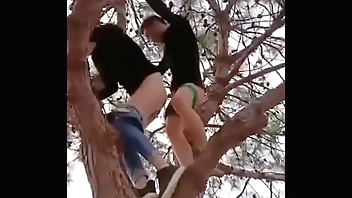 Coition unaffected by a catch bed out