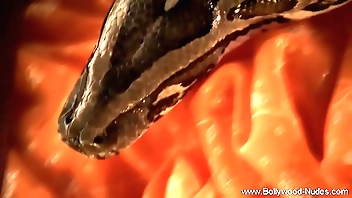 Awaiting Approximately agreement Approximately Off colour Asia