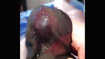 Sex-crazed take venerable stockings