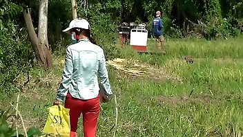 wharf lén cặp mong chị hàng xóm ra đồng cắt lúa