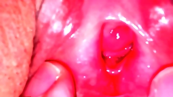 Times for  Hallow added to Sex. 07/28/2024