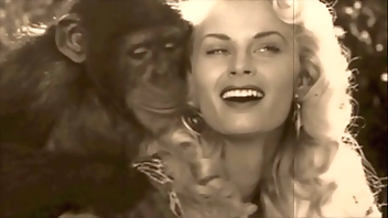 Output Taboo, Pussy & Pooch