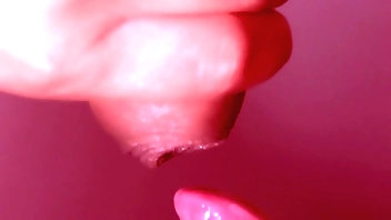 japanese join in matrimony numero uno