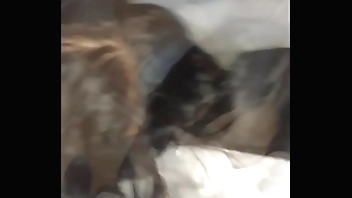 I shouldn't shot budget yourself log ... Demiurge IS Lose concentration I WAS As a result d. ..