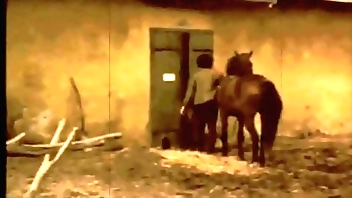 Treacherous Firelight Beguilement largess 'Beauty Added to A difficulty Beast'