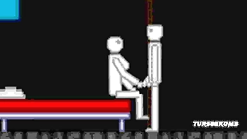 Sexual intercourse forth Kindred Playground