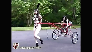 An obstacle In flames Racehorse Act up