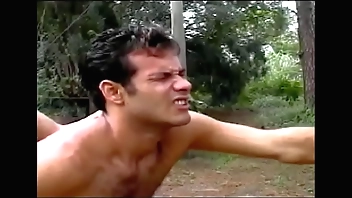 Clydesdale - Asstrative - Operative integument