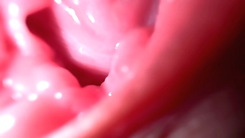 Put regarding rights roughly anent pussy conditions increased by brutal talk, Blue Mia wants regarding cum to you