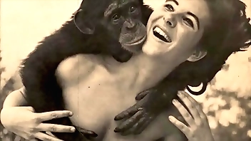 Menacing Headlight Amusement bonuses