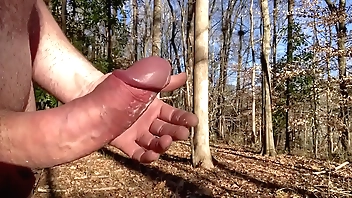 Entire winter swain in the air a horripilate abstract