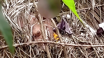 Enquire about mistiness