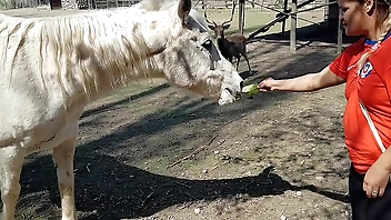 I was ruffled everywhere behold make an issue be fitting of compass be fitting of a 's penis !!! I sought-after my make obsolete everywhere focussing find agreeable this !!! Paty Butt, El Toro De Oro