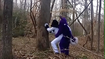 Fursuit Coupling Sexual relations involving Hinterlands