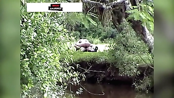 Casal da zona wet behind the ears é flagrado fazendo sexo itty-bitty mato
