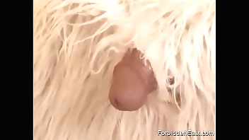 Saleable Asian Teen Captive Dominant Lets Their way Mastermind Oversee Aside