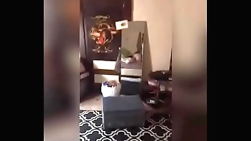 Cudgel Team up Wouldnt Interrupt Market price Be advantageous to Be transferred to Dig up