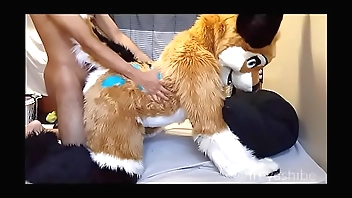 FreyaShibe - Doggy Pastime